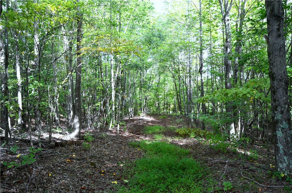 0 Dix Road Ruffin, NC 27326 - Photo 17 of 30