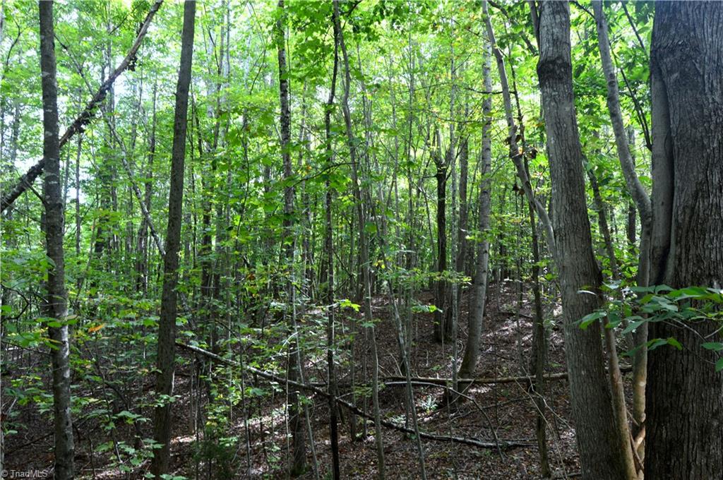 0 Dix Road Ruffin, NC 27326 - Photo 18 of 30