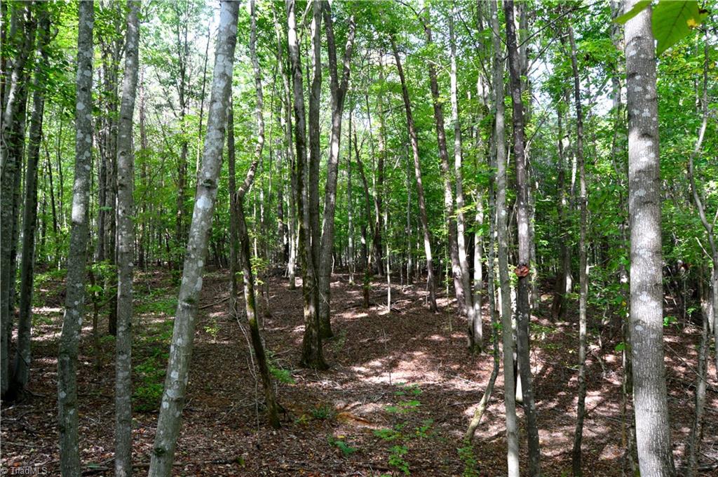 0 Dix Road Ruffin, NC 27326 - Photo 19 of 30