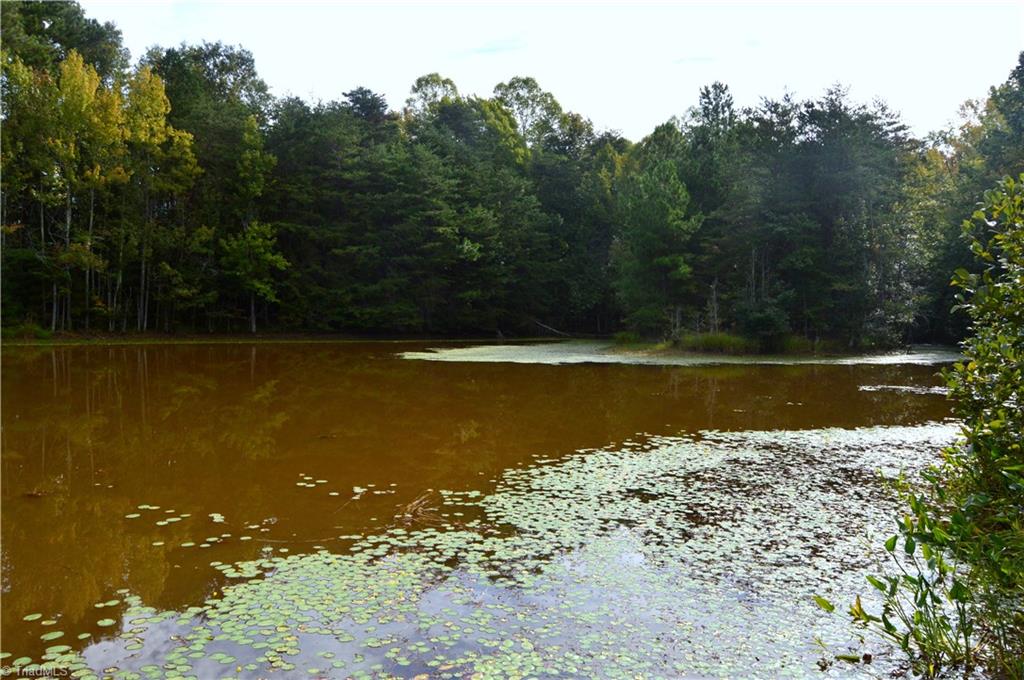 0 Dix Road Ruffin, NC 27326 - Photo 20 of 30