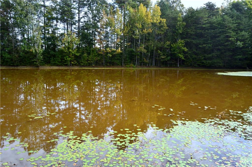 0 Dix Road Ruffin, NC 27326 - Photo 21 of 30