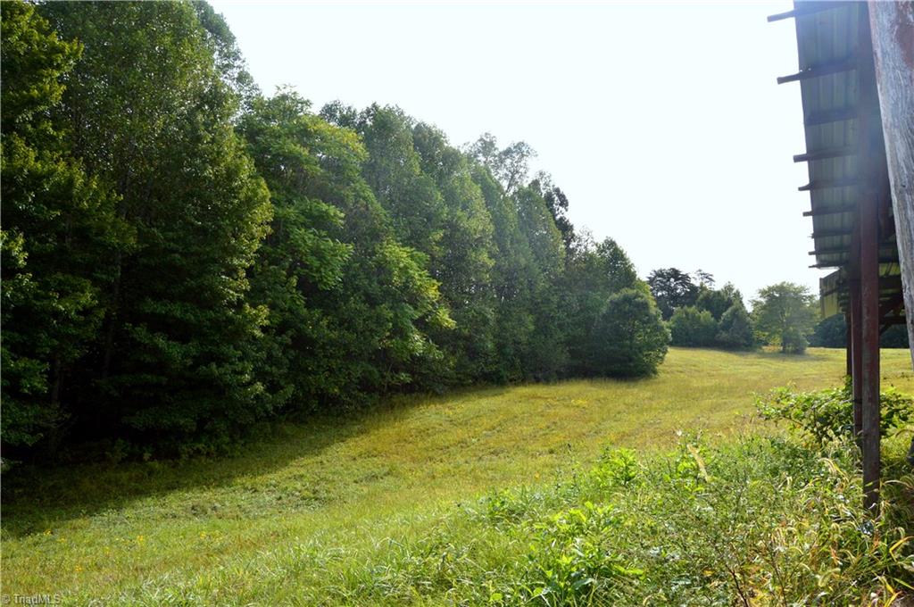 0 Dix Road Ruffin, NC 27326 - Photo 24 of 30