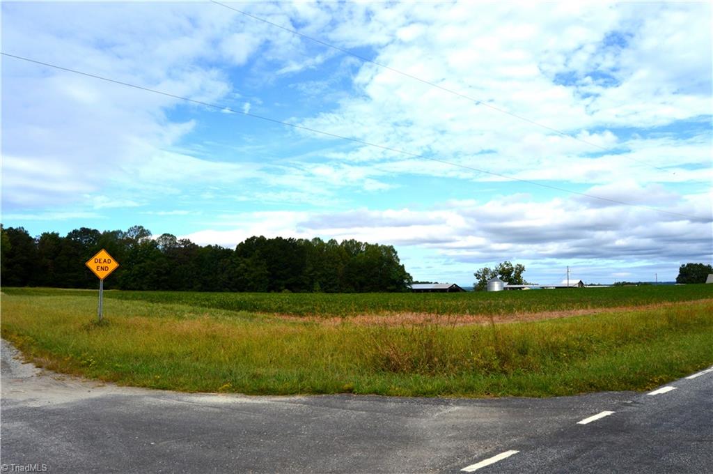 0 Dix Road Ruffin, NC 27326 - Photo 4 of 30