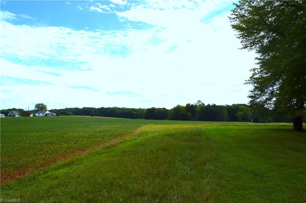 0 Dix Road Ruffin, NC 27326 - Photo 5 of 30