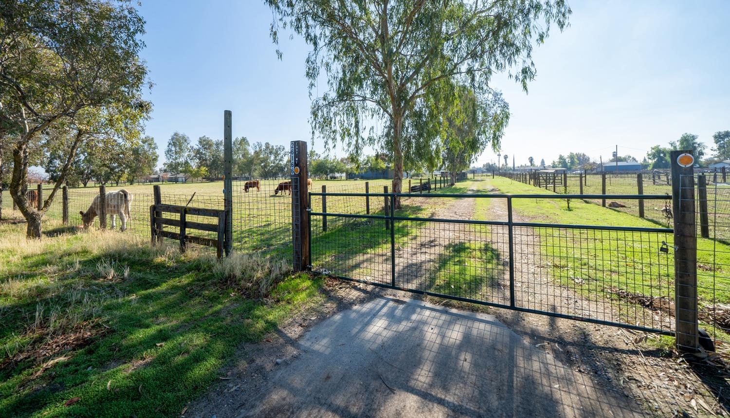 a view of outdoor space with garden