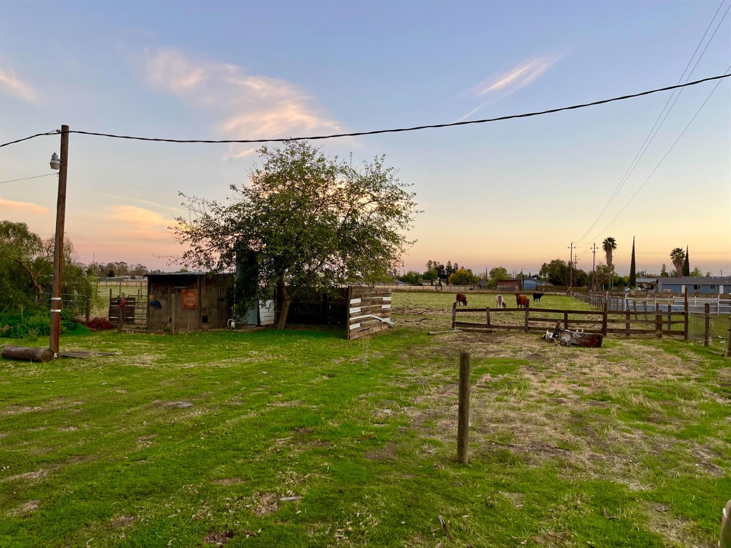 26166 Eddy Way Madera, CA 93638 - Photo 13 of 25 a backyard of a house with lots of green space