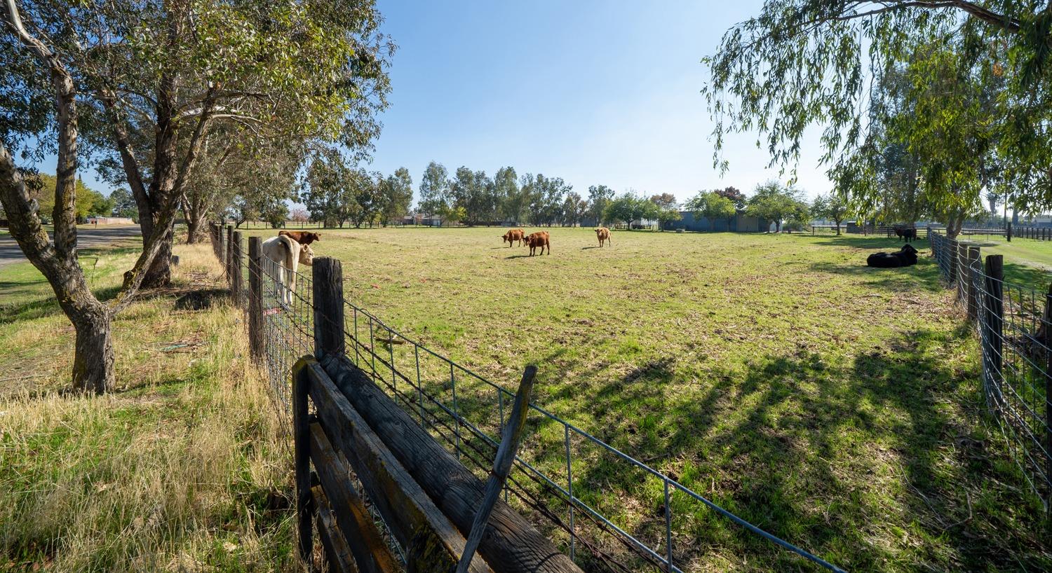26166 Eddy Way Madera, CA 93638 - Photo 3 of 25 a view of a lake with houses in the background