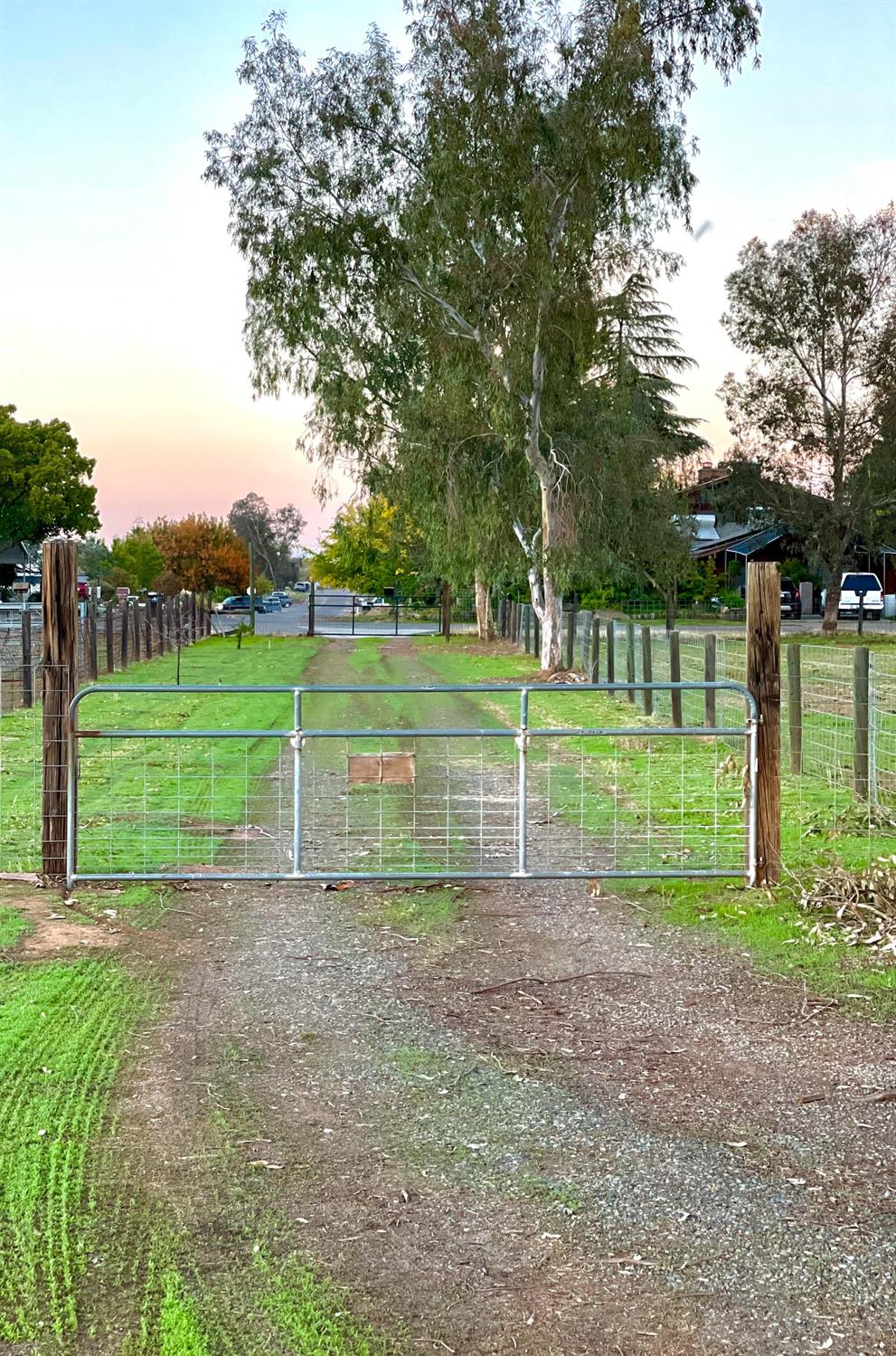 26166 Eddy Way Madera, CA 93638 - Photo 5 of 25 a view of a park in a park