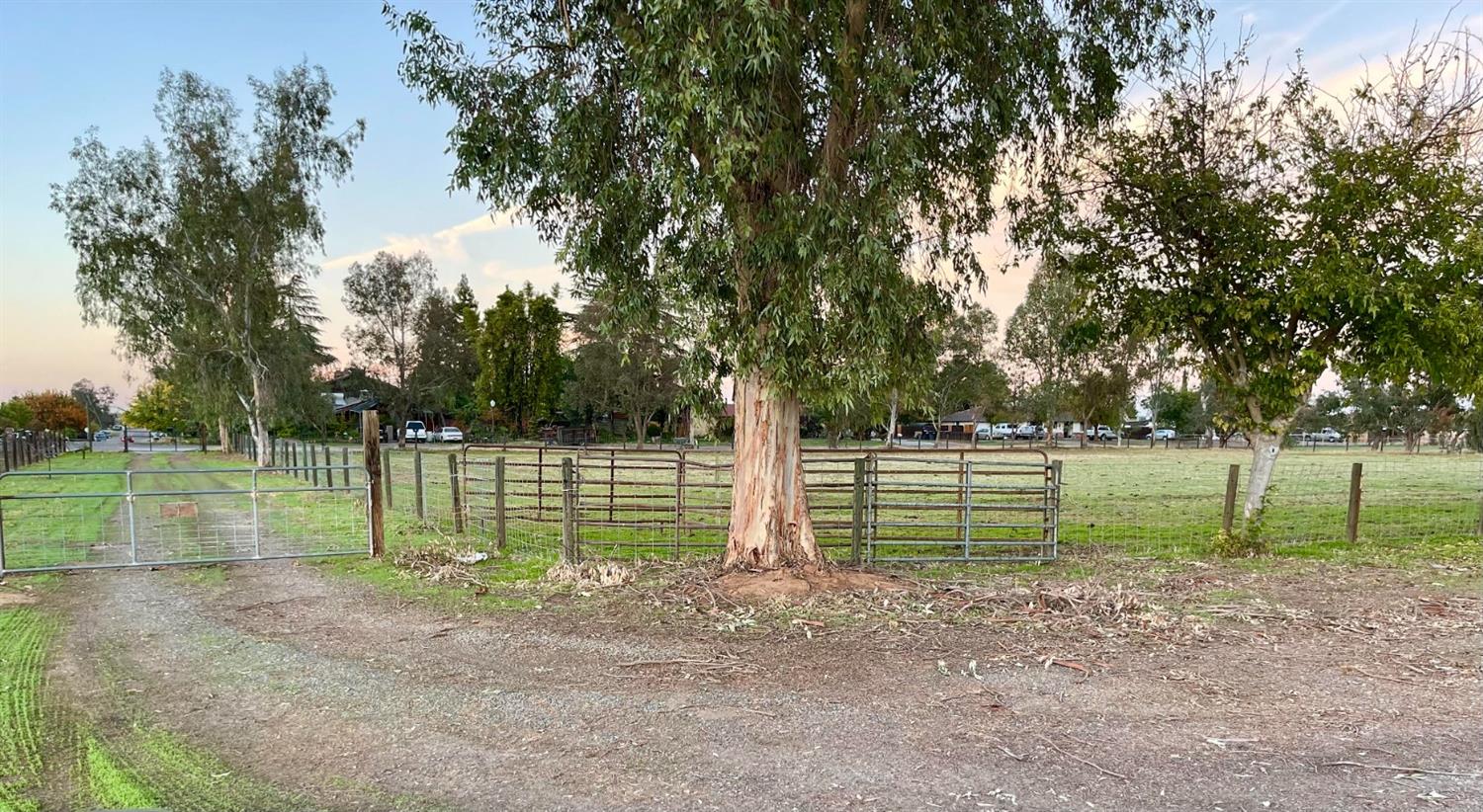 26166 Eddy Way Madera, CA 93638 - Photo 6 of 25 a view of a park with large trees