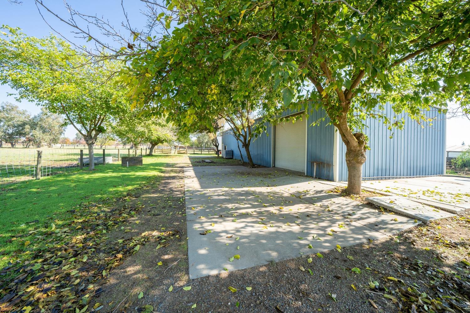 26166 Eddy Way Madera, CA 93638 - Photo 10 of 25 a view of a yard with plants and trees