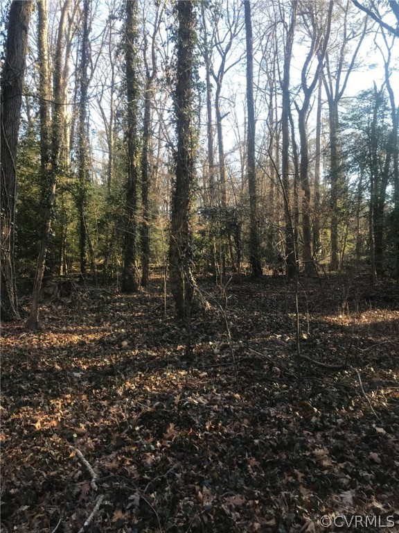 6201 Bliley Road Richmond, VA 23225 - Photo 2 of 7 Gallery Image 2