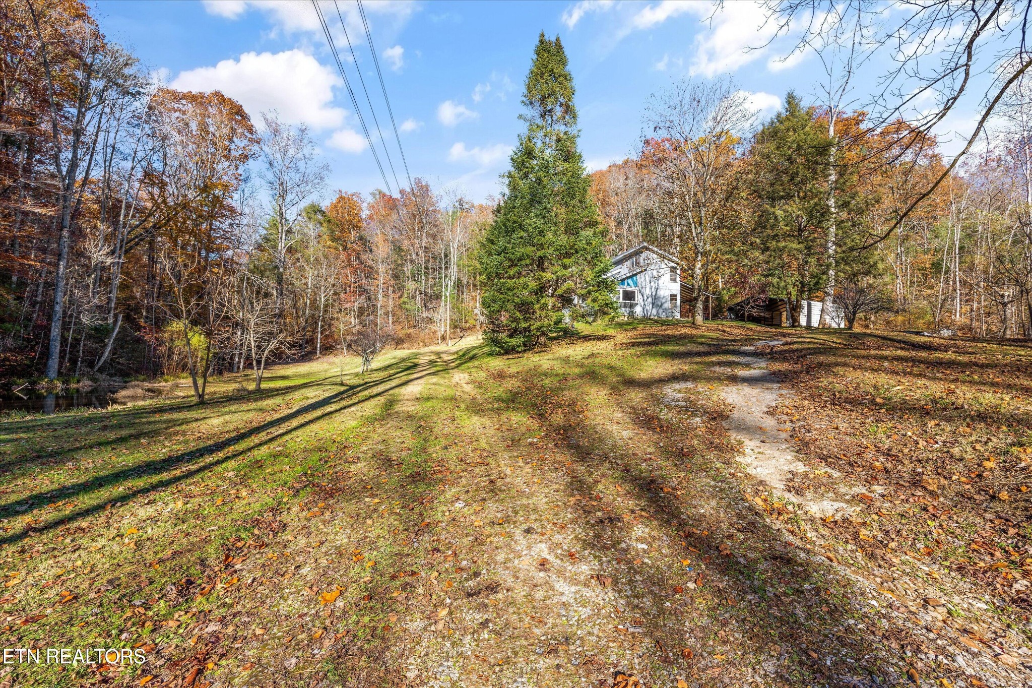 320 Caney Branch Road Tellico Plains, TN 37385 - Photo 25 of 37 Gallery Image 25