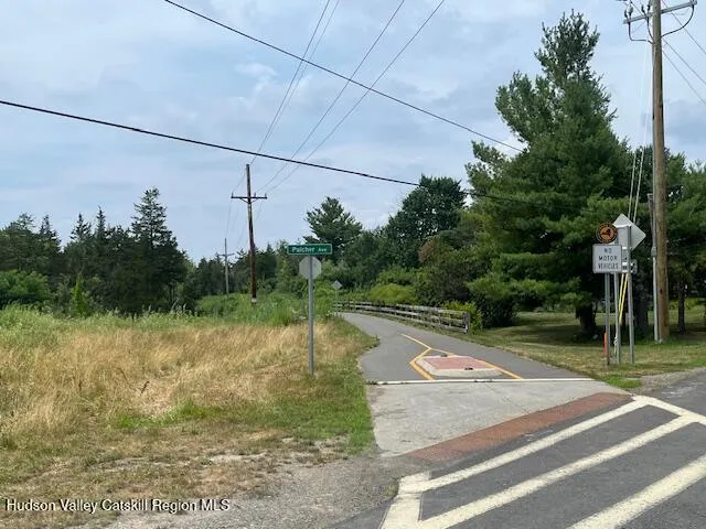 a view of a garden with a pathway