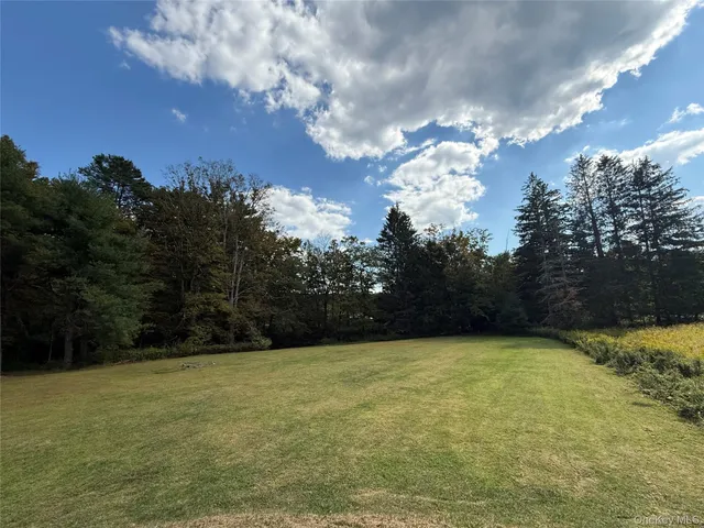 a view of a forest with lots of trees