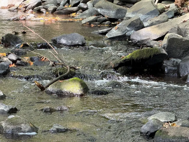 a view of a lake from a yard