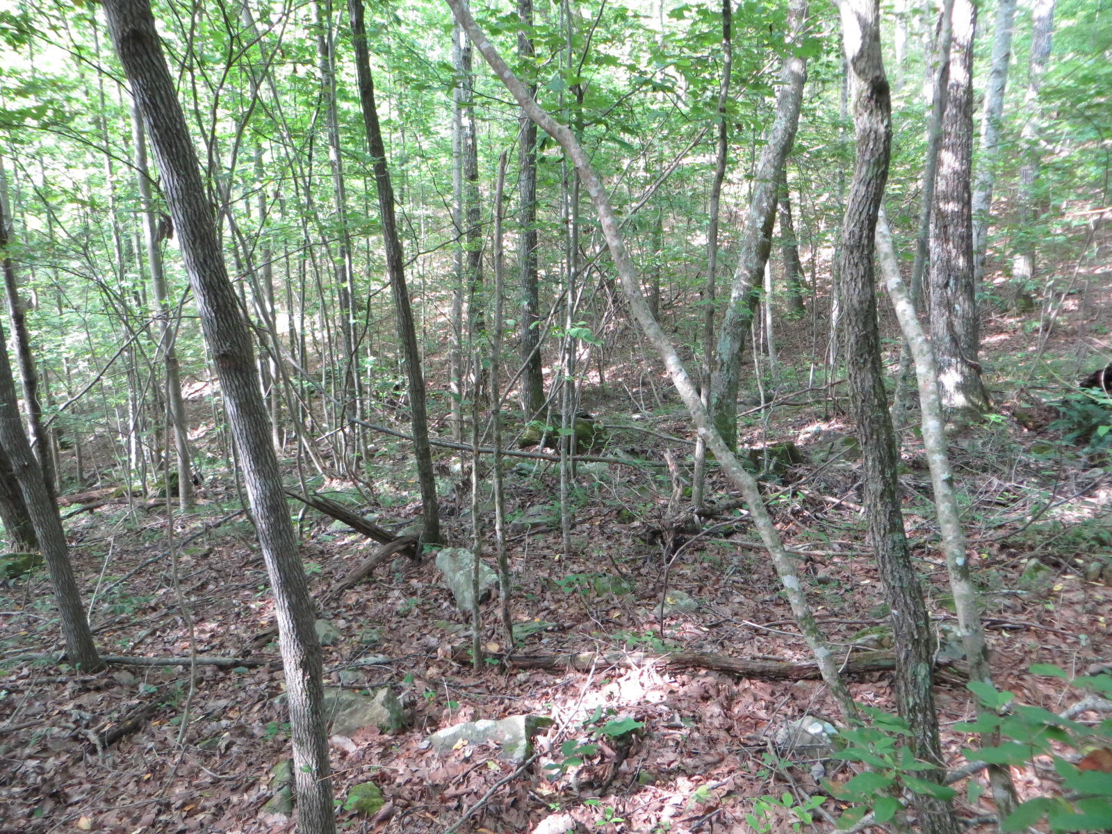 0 Hill Road, Unit 24 Crossville, TN 38572 - Photo 17 of 35 IMG_0014