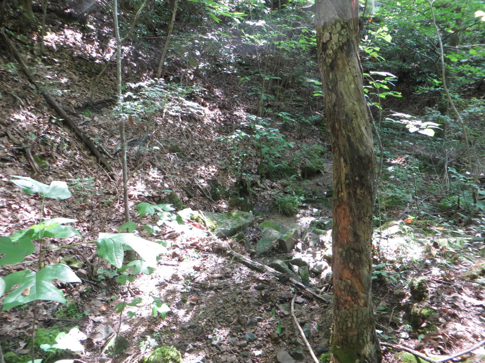 0 Hill Road, Unit 24 Crossville, TN 38572 - Photo 23 of 35 IMG_0020