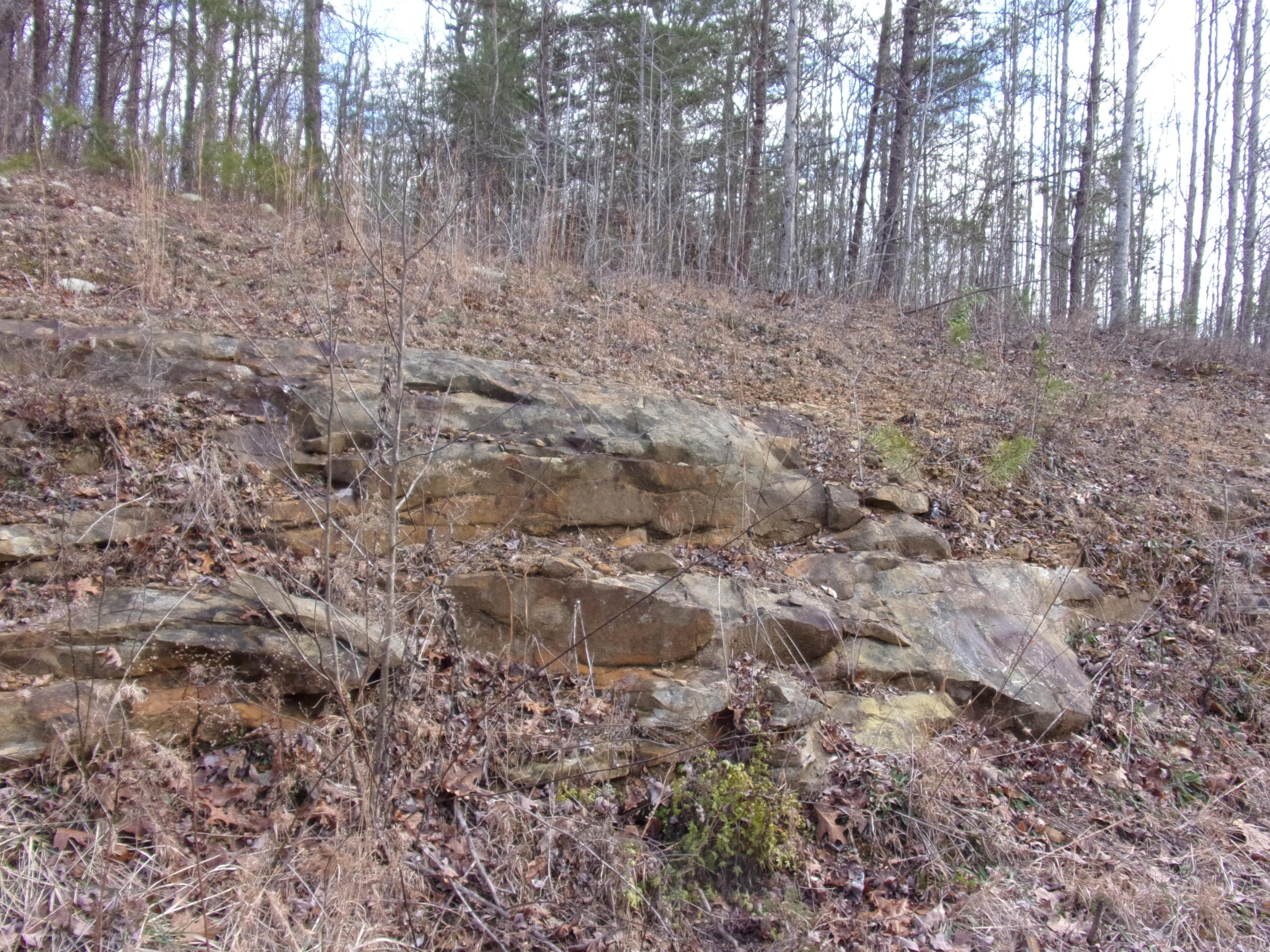 0 Hill Road, Unit 24 Crossville, TN 38572 - Photo 4 of 35 101_2111