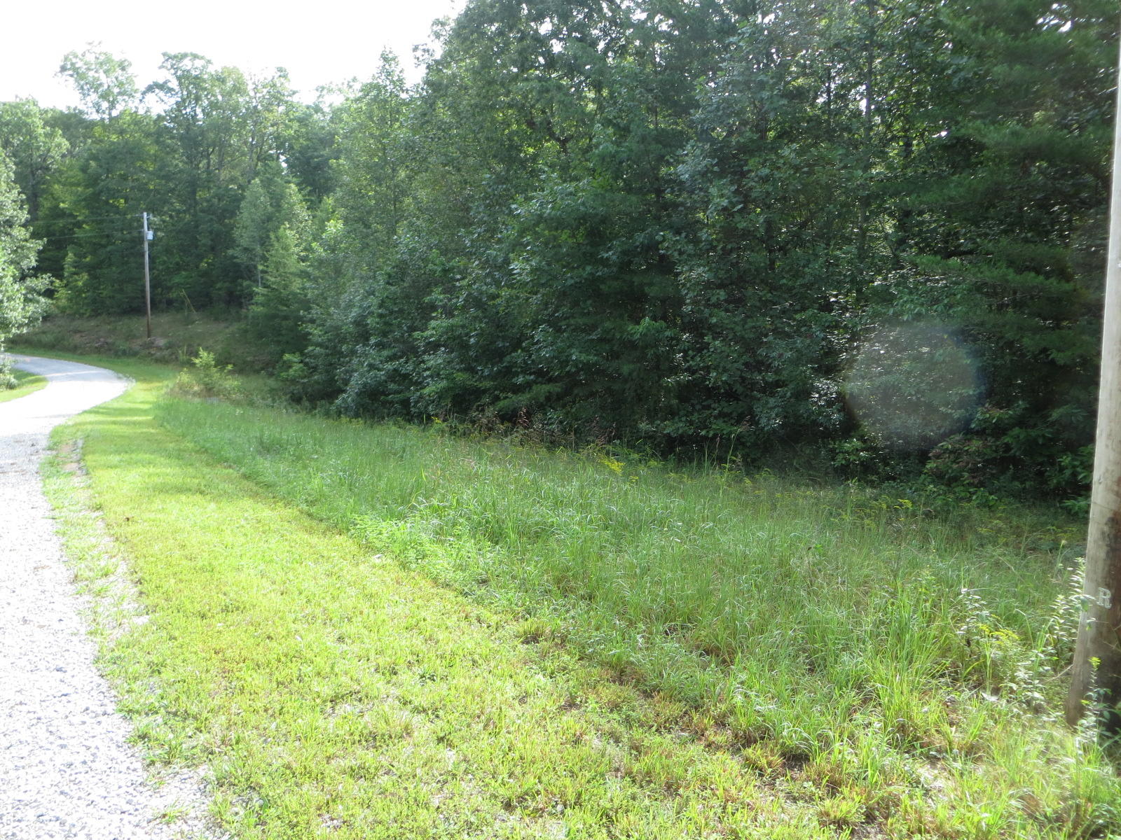 0 Hill Road, Unit 24 Crossville, TN 38572 - Photo 7 of 35 IMG_0002