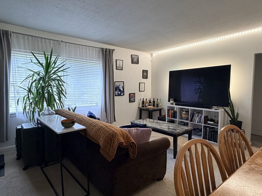 185 Lake Shore Road, Unit 1 Boston, MA 02135 - Photo 6 of 21