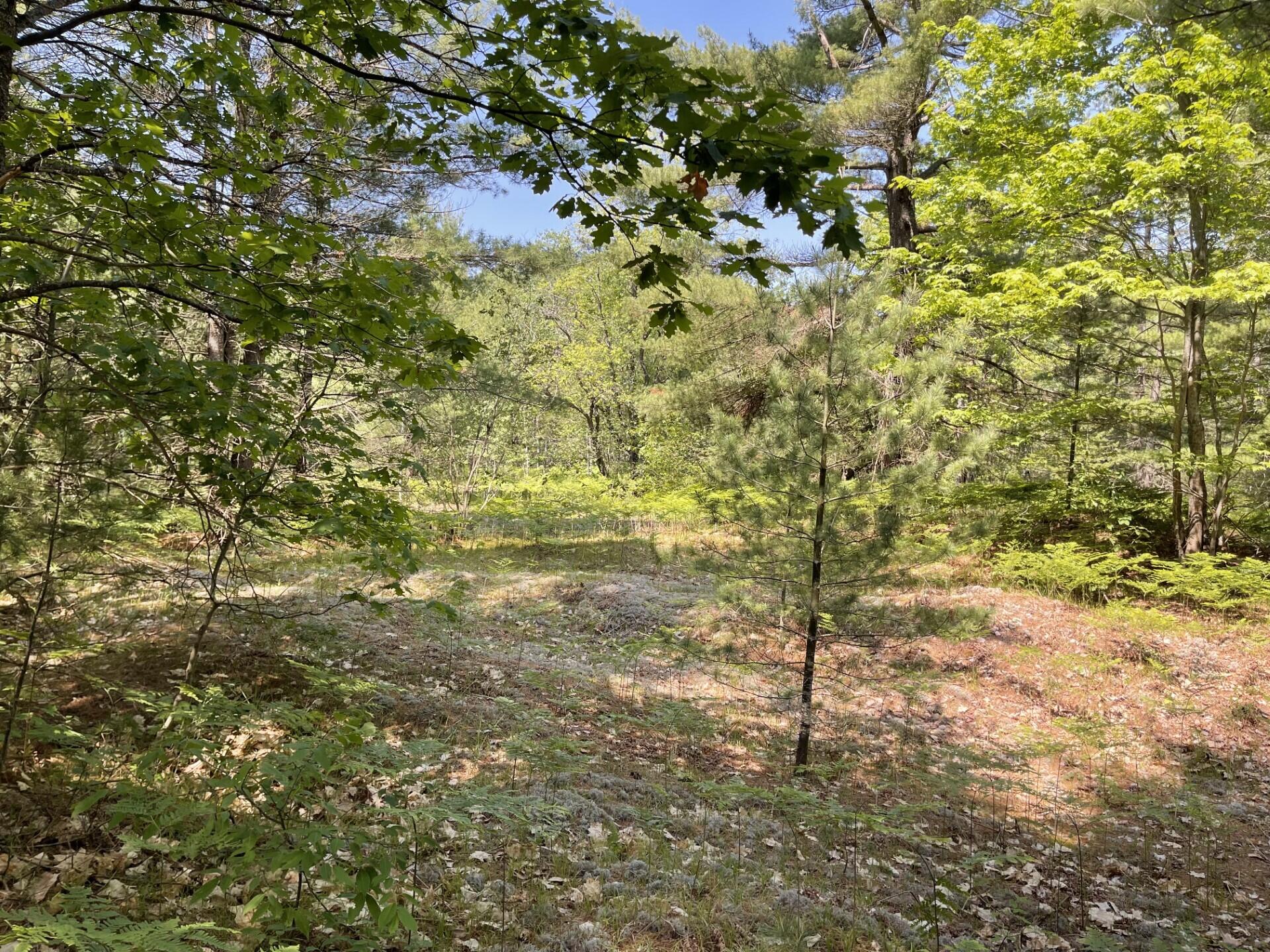 Vl Lake Manuka Road Gaylord, MI 49735 - Photo 6 of 7 Gallery Image 6