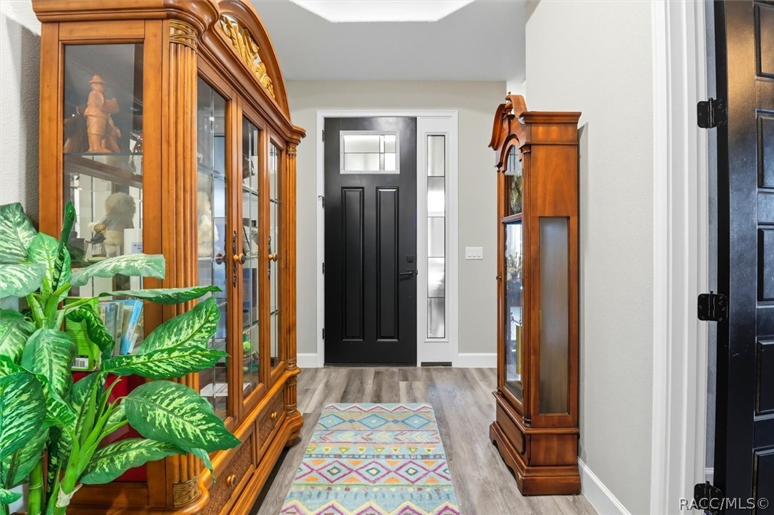 9689 East White Egret Path Inverness, FL 34450 - Photo 8 of 43