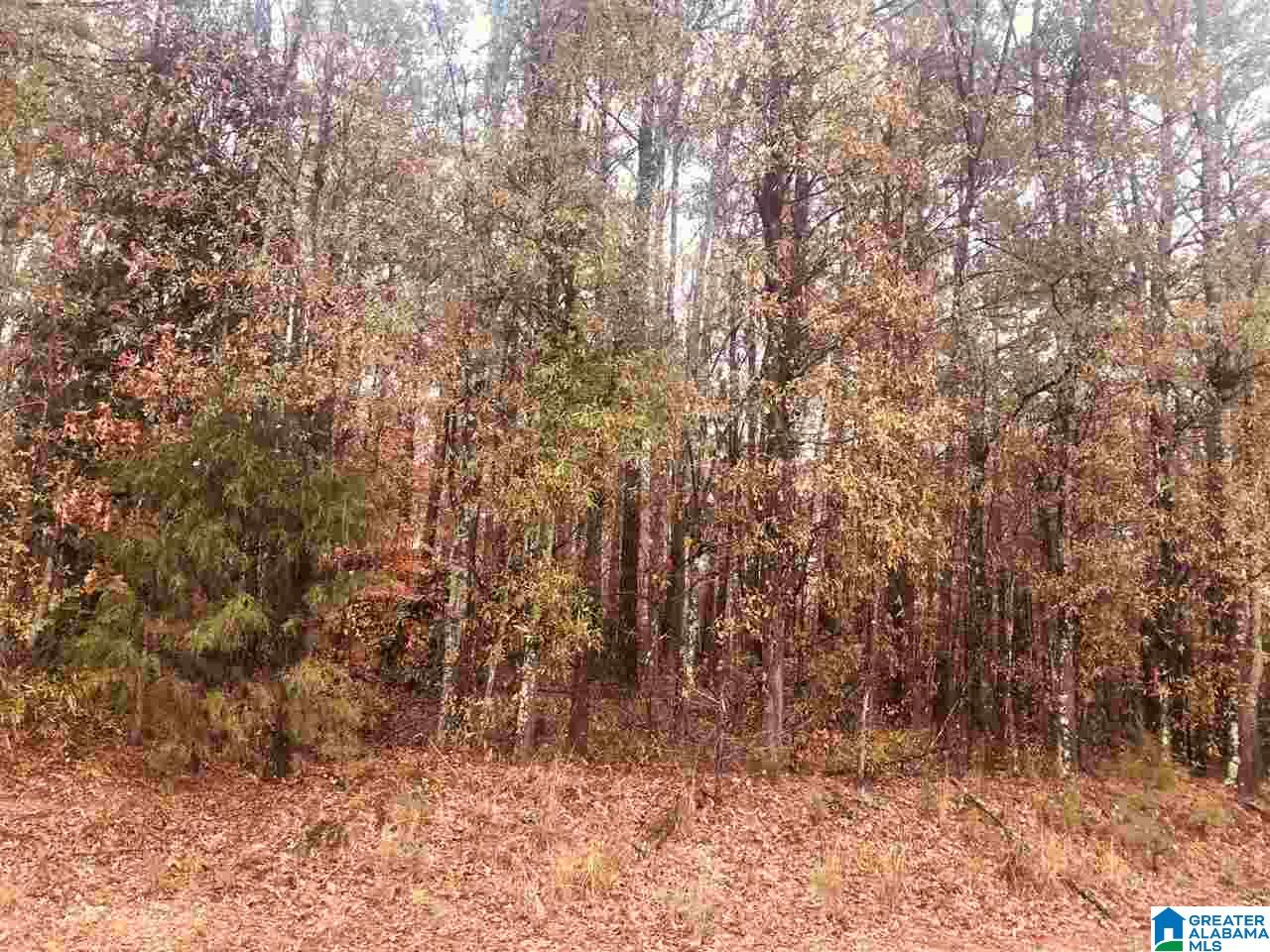 0 Kirby Road, Unit 2 2 Oxford, AL 36203 - Photo 1 of 8