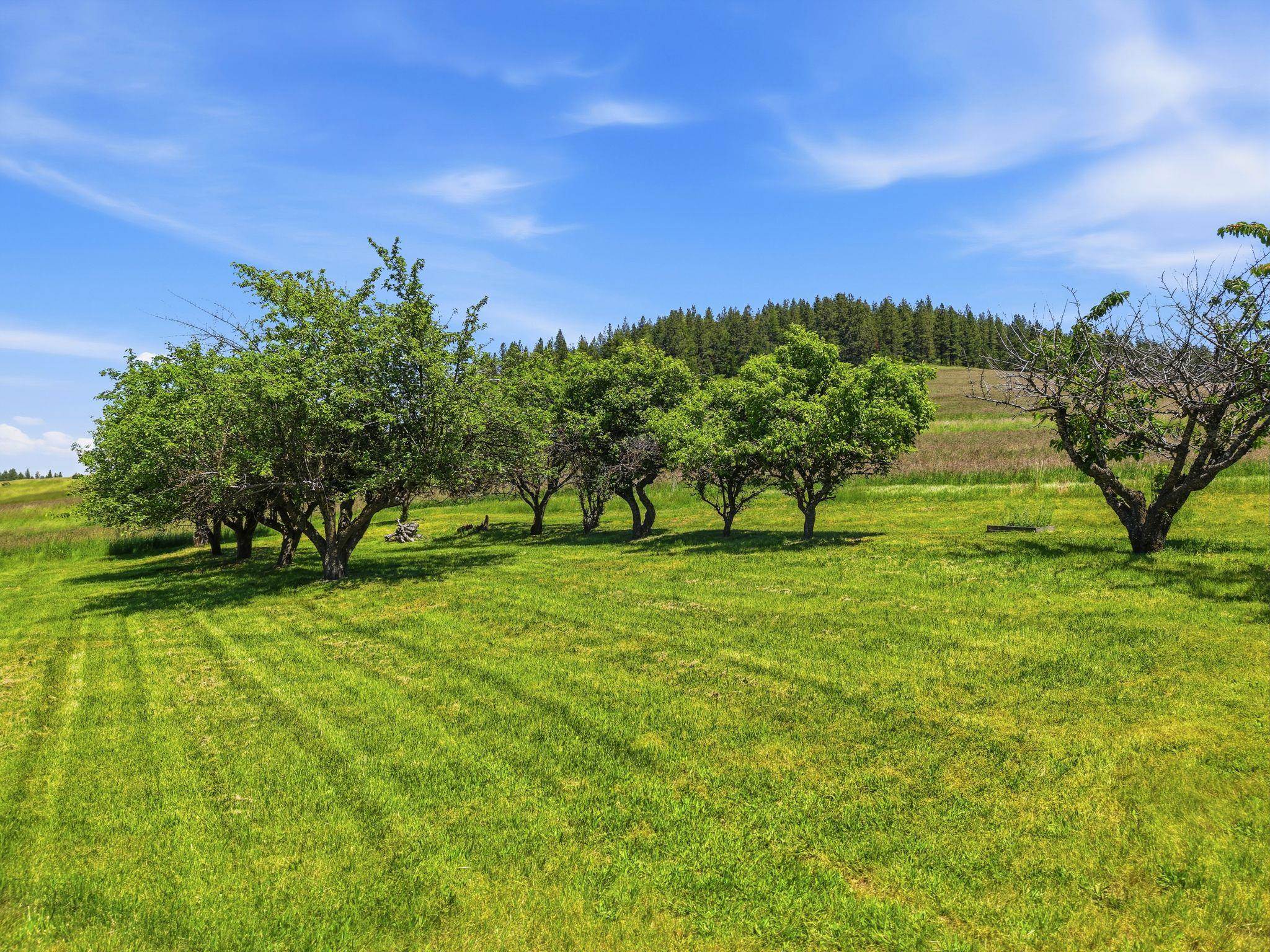 2157 West Rolling Hills Road Worley, ID 83876 - Photo 17 of 22