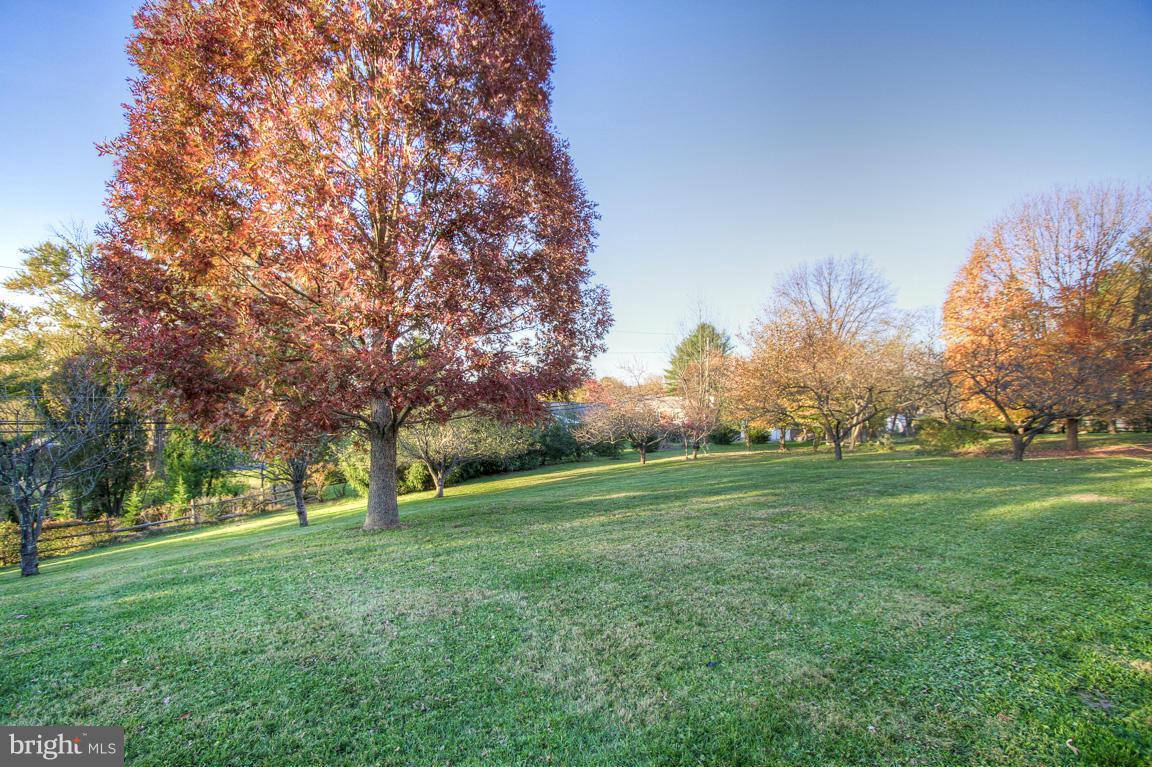 1202 Doves Cove Road Baltimore, MD 21286 - Photo 29 of 30 Sprawling Yard