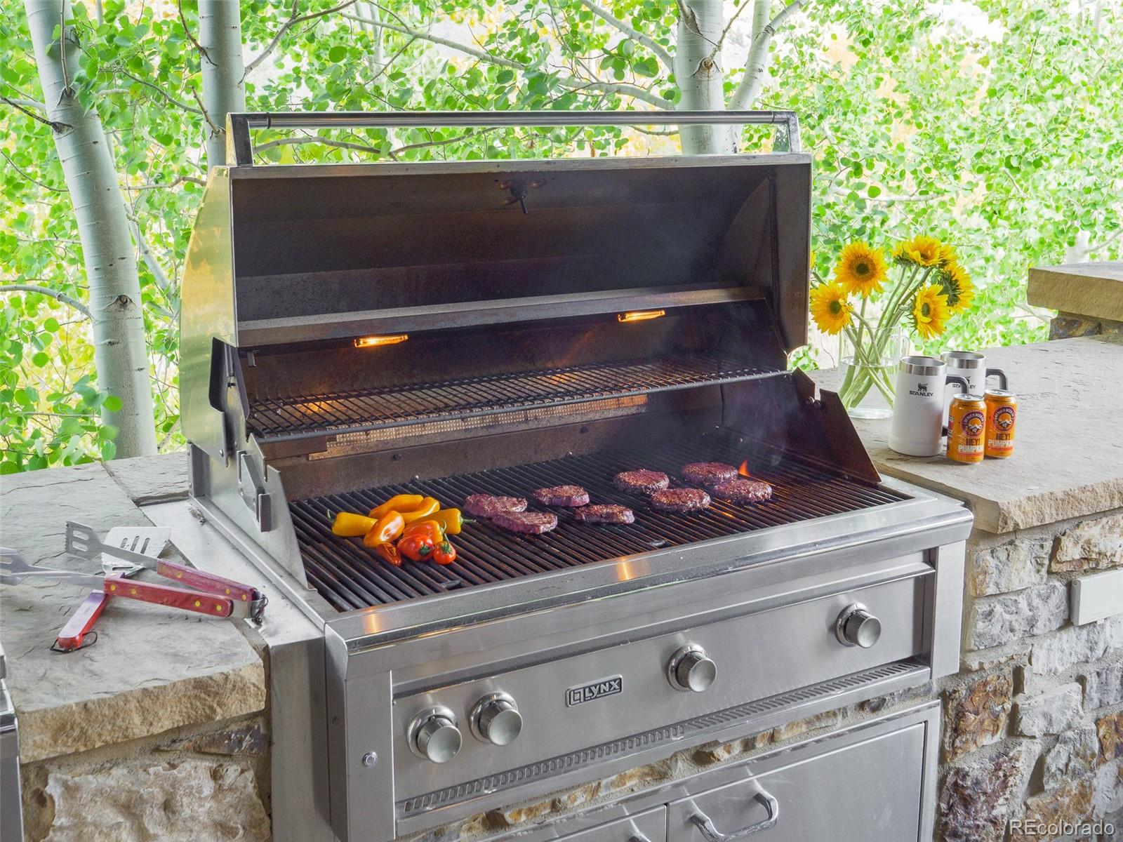 330 High Park Court Silverthorne, CO 80498 - Photo 16 of 50