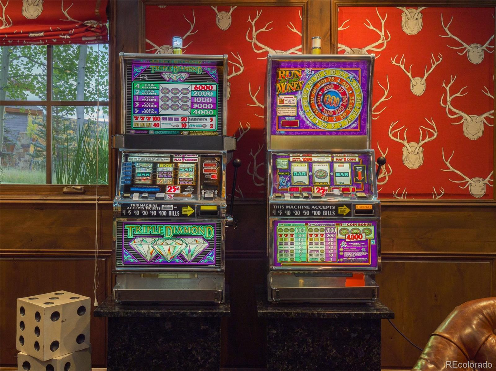 330 High Park Court Silverthorne, CO 80498 - Photo 22 of 50