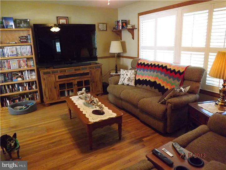 Gallery Image 7