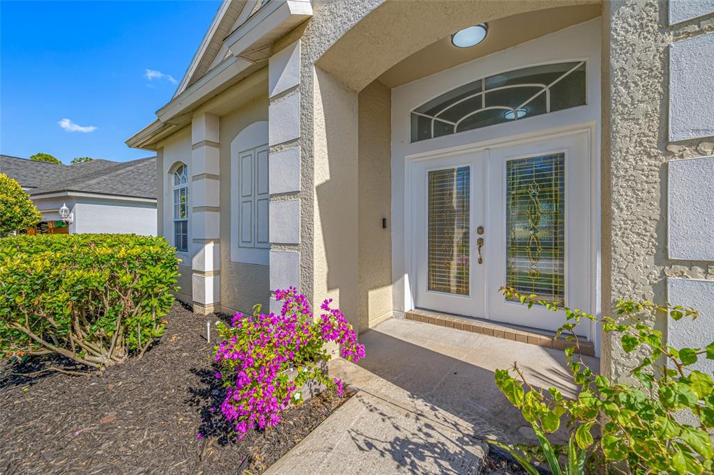 5516 Riva Drive Wesley Chapel, FL 33544 - Photo 3 of 35