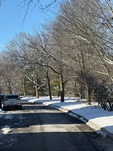 a view of road with trees