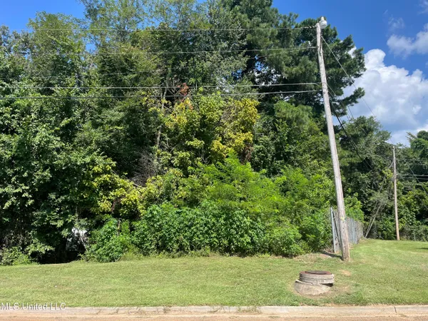 $89,000 | 0 Triplett Drive, Natchez, MS 39120