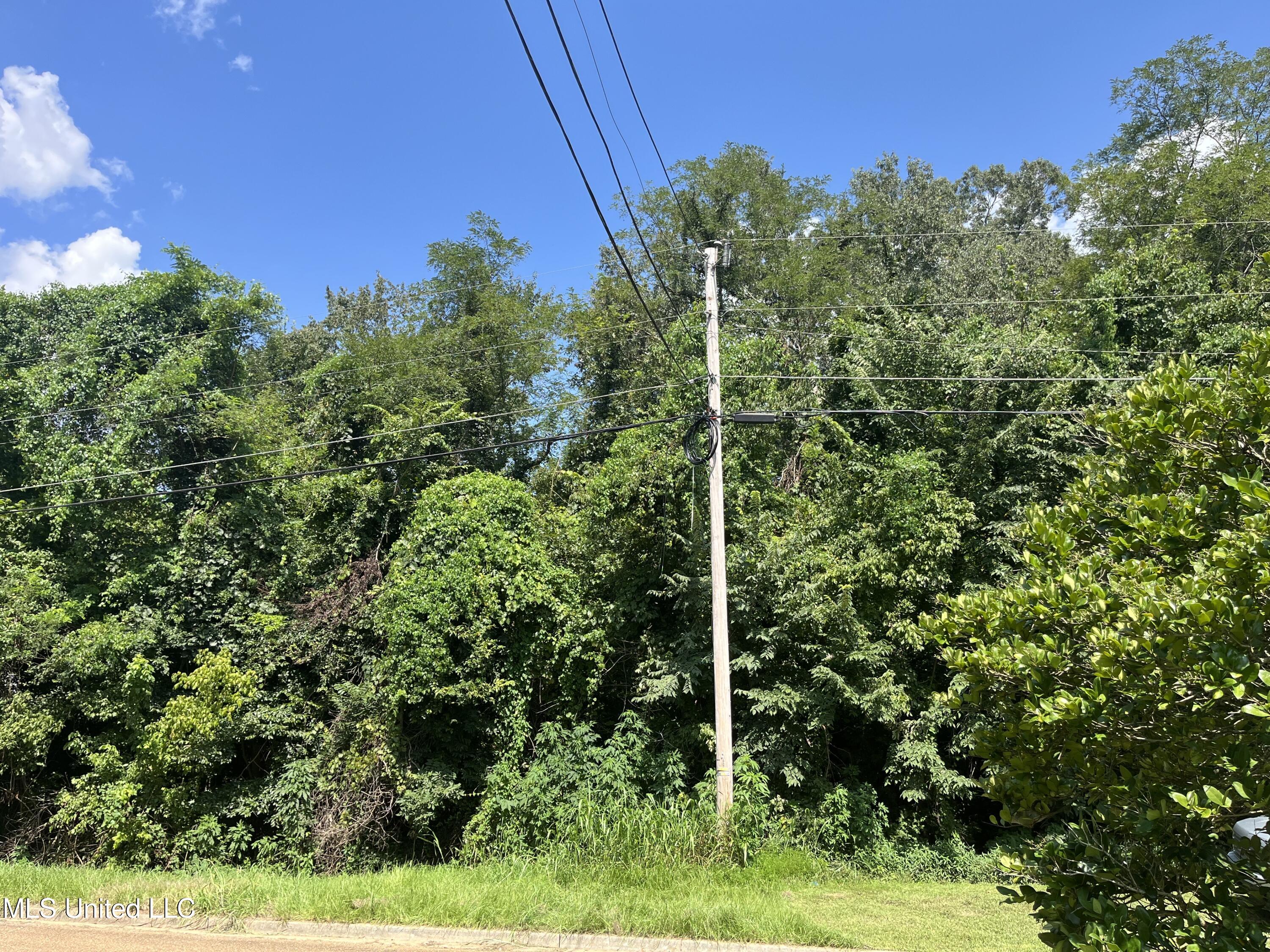 0 Triplett Drive Natchez, MS 39120 - Photo 4 of 5 IMG_2444