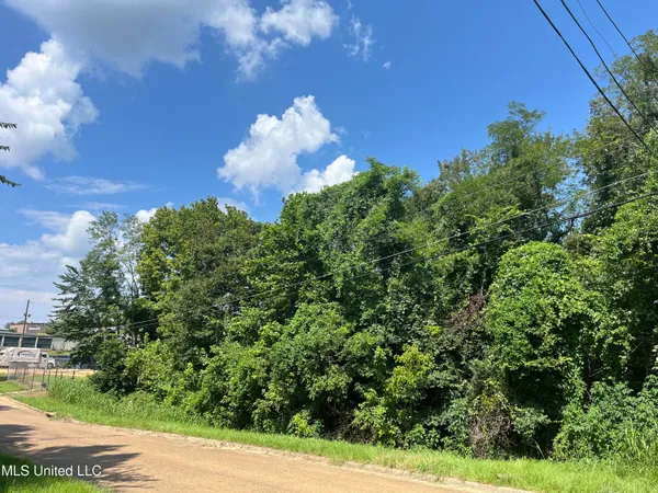 $89,000 | 0 Triplett Drive, Natchez, MS 39120