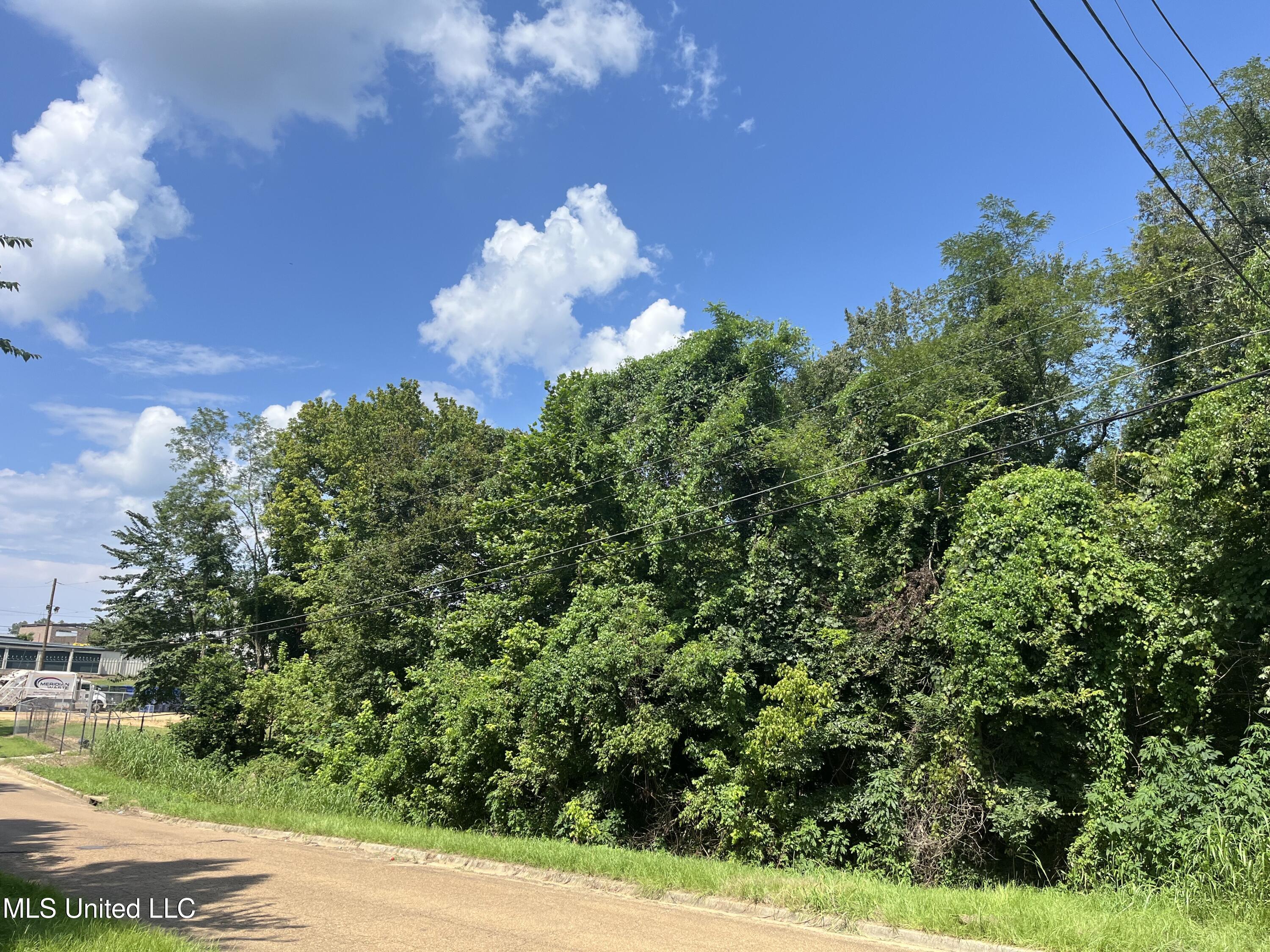 0 Triplett Drive Natchez, MS 39120 - Photo 5 of 5 IMG_2445