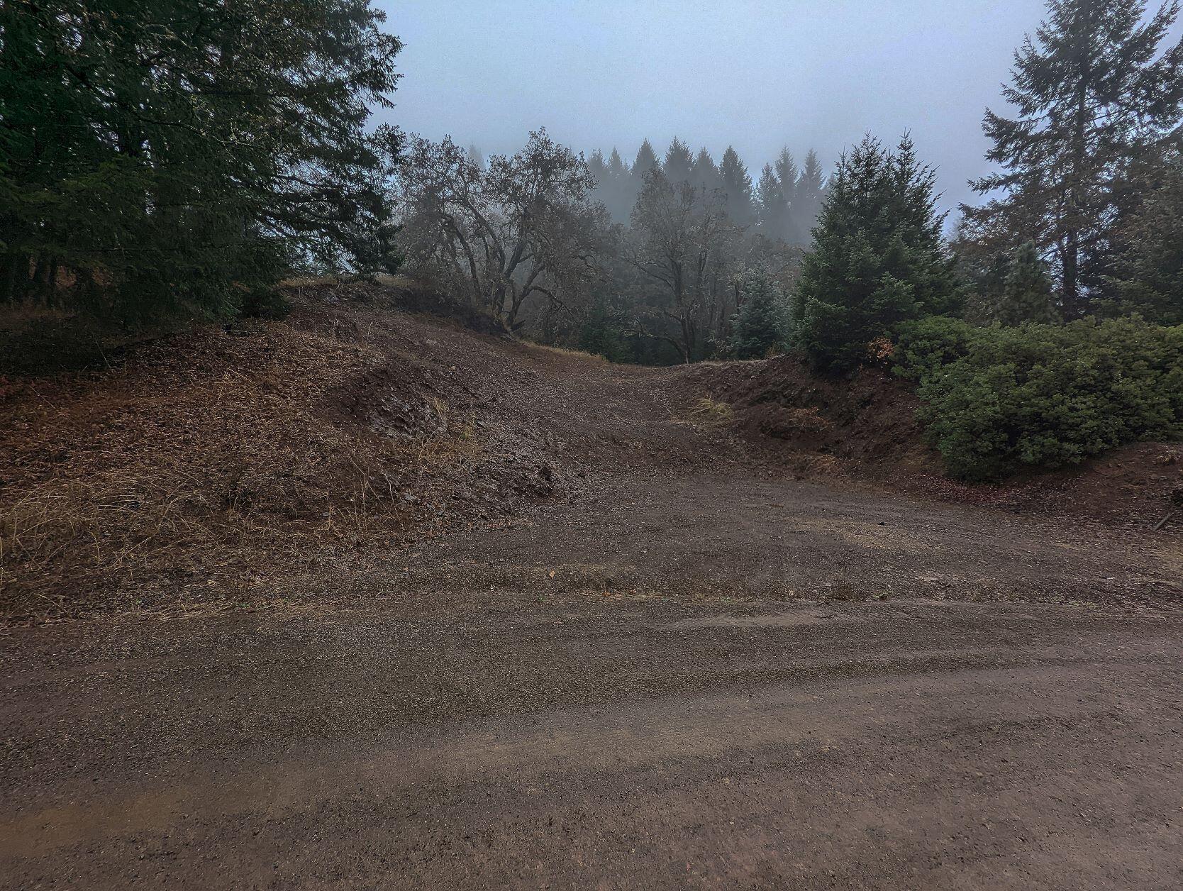 0 China Mine Road Bridgeville, CA 95526 - Photo 17 of 18