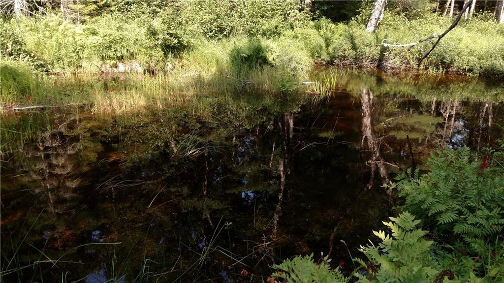 Lot 28 East Pretty Pond Road Cherryfield, ME 04622 - Photo 7 of 7 Photo