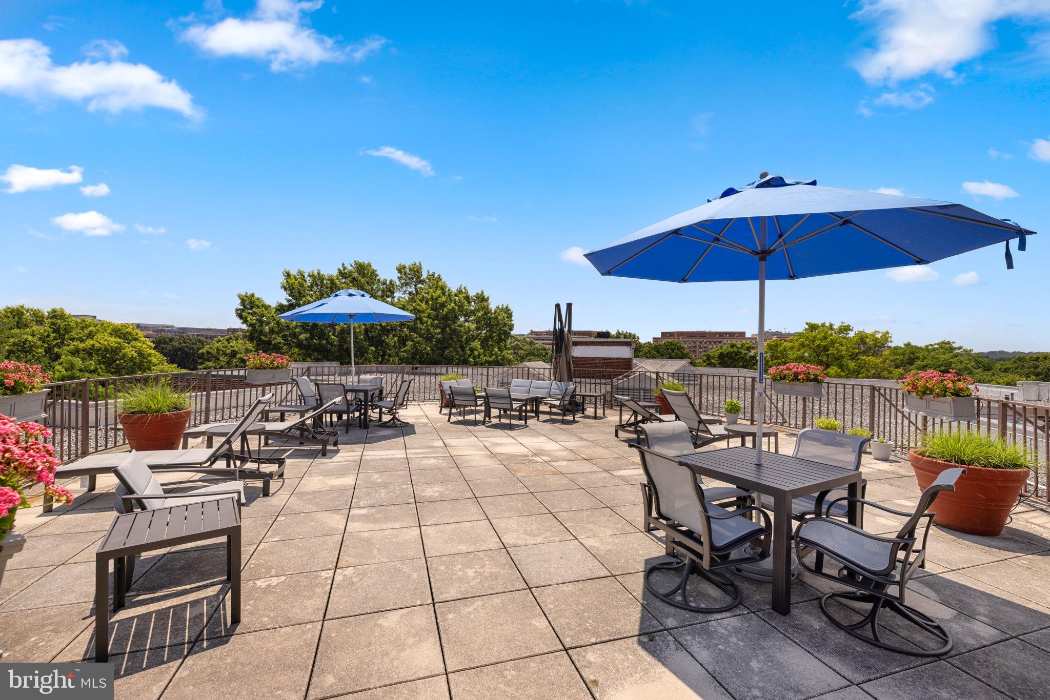 2500 Q Street Northwest, Unit 410 Washington, DC 20007 - Photo 20 of 38 Rooftop