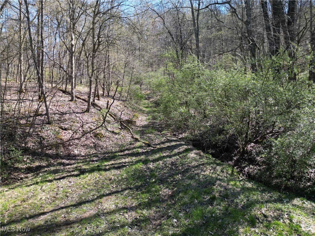 Rush Run Road Arnoldsburg, WV 25234 - Photo 5 of 11 Gallery Image 5
