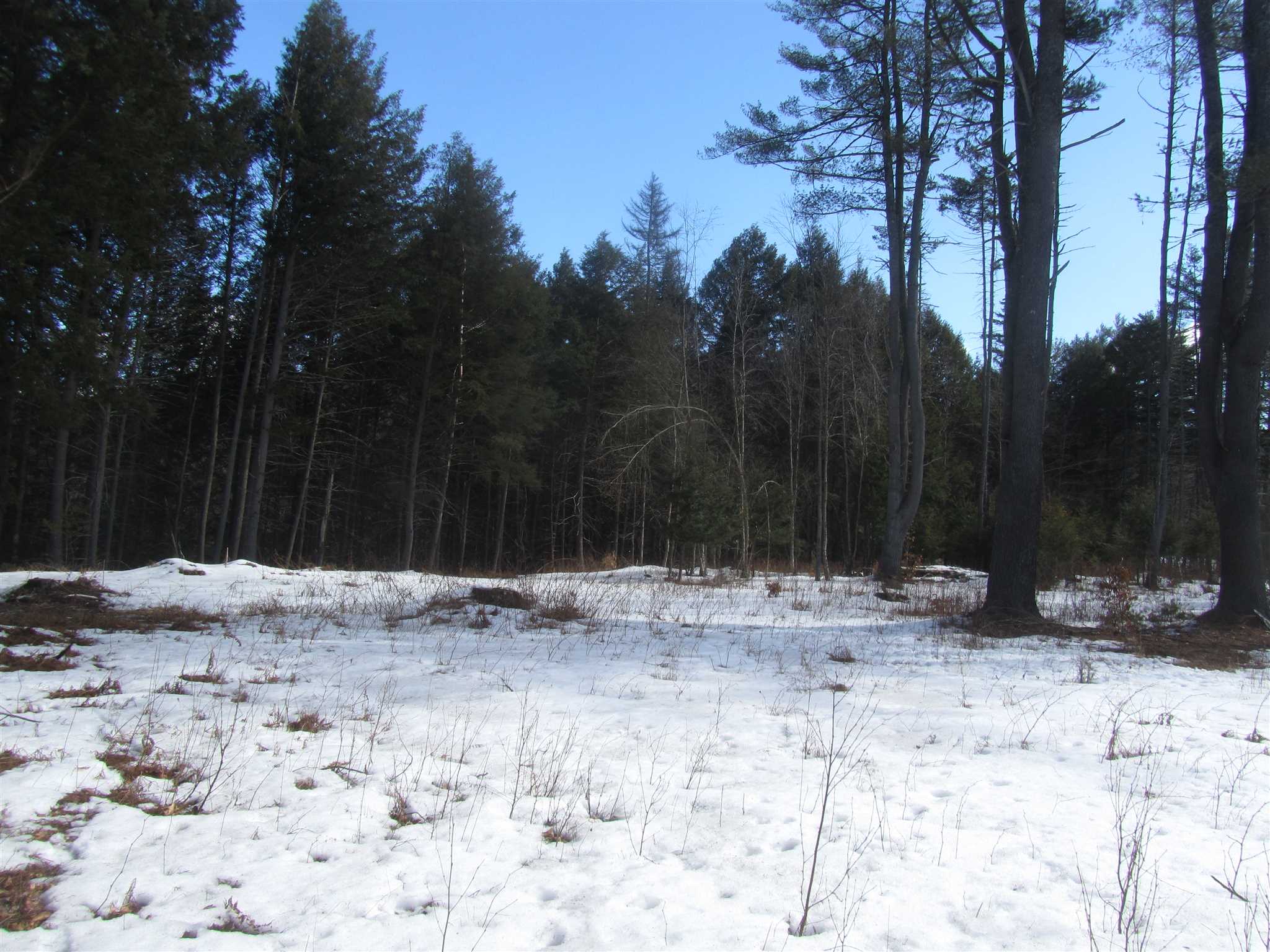 1 Private Road South Royalton, VT 05068 - Photo 3 of 4 Gallery Image 3