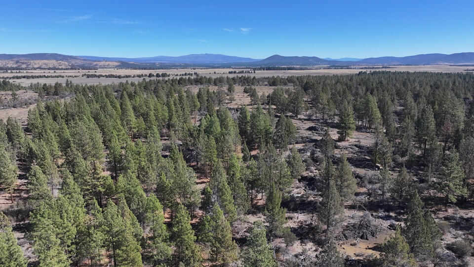 Oregon Pines Road, Unit TL 600 Sprague River, OR 97639 - Photo 10 of 52 9