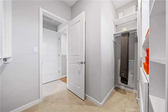 a view of a garden with a tree