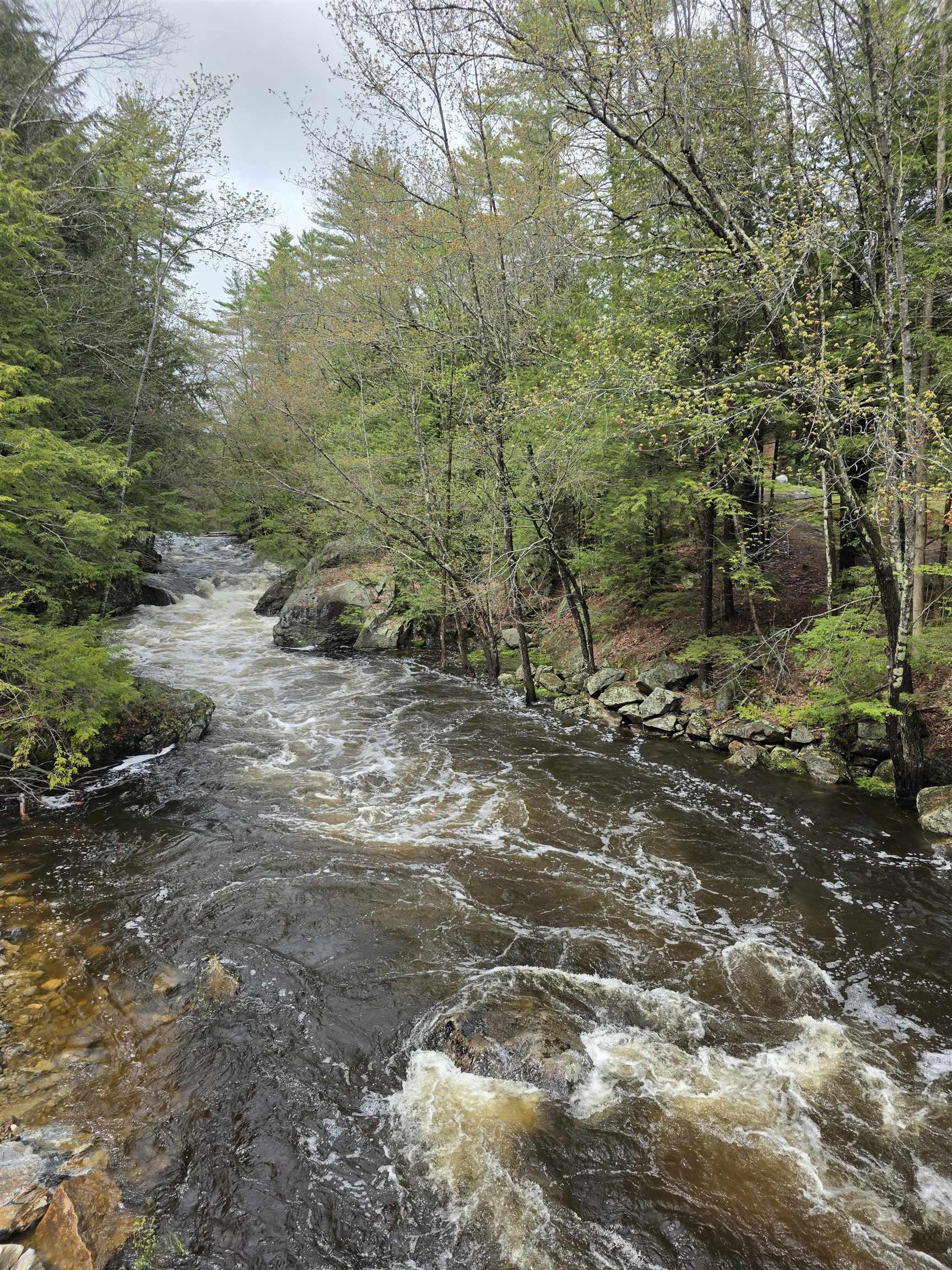 196 Clothespin Bridge Road Webster, NH 03303 - Photo 4 of 30