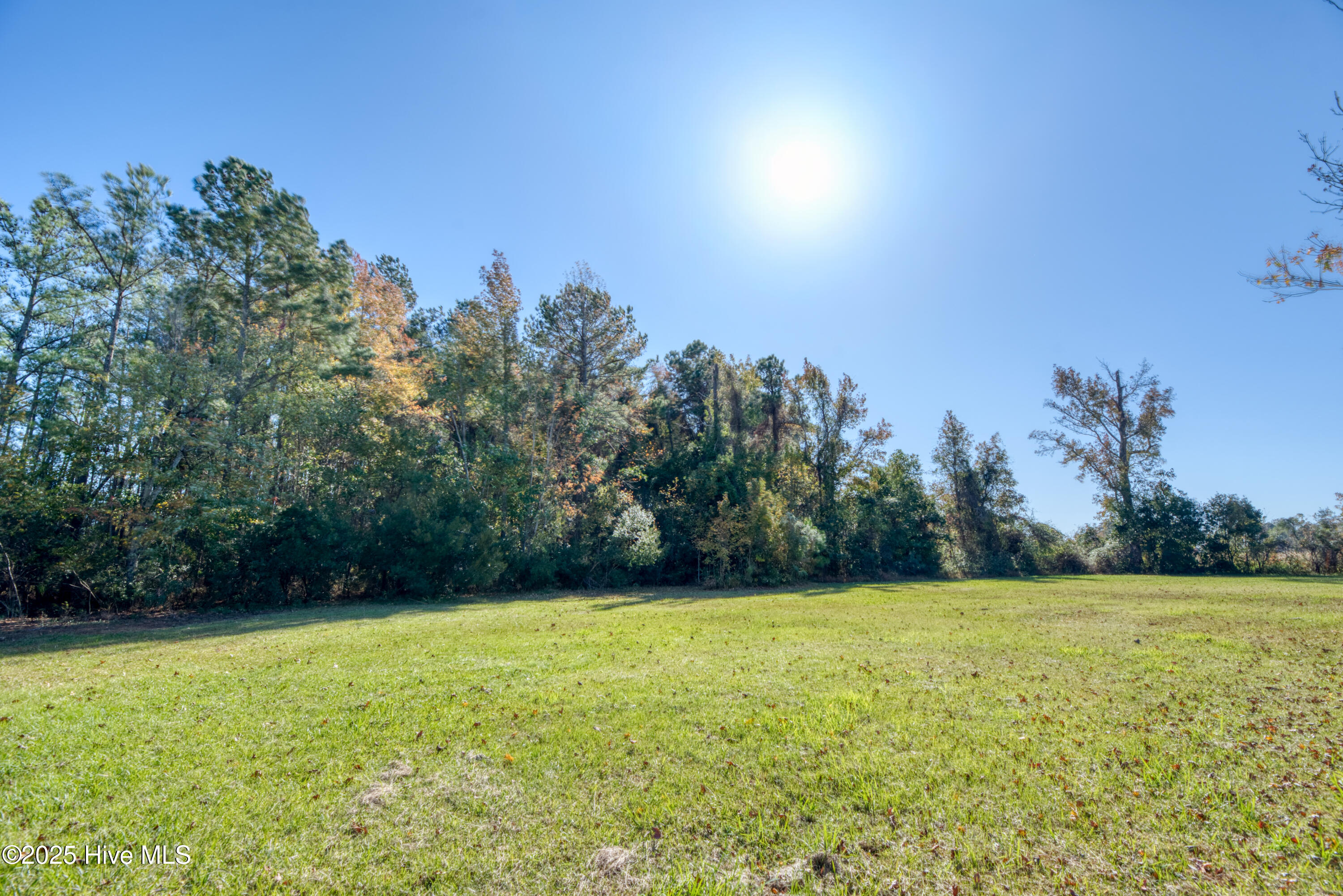 140 Major Island Road Maple, NC 27956 - Photo 13 of 16 Empty lot (1)