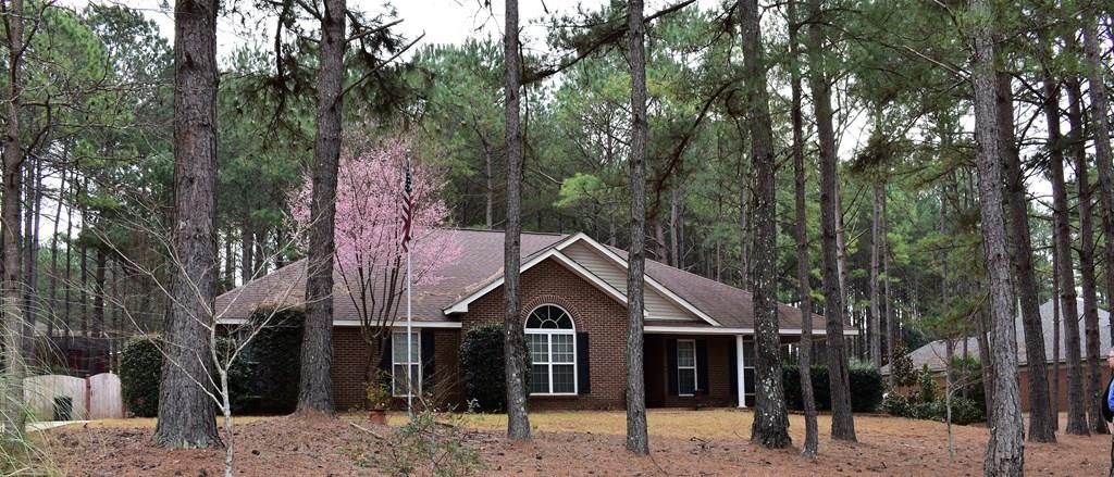 90 Roseanne Loop Hamilton, GA 31811 - Photo 1 of 24 Main View