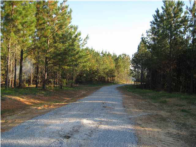 Griffin Road, Unit 1 Chelsea, AL 35043 - Photo 1 of 5