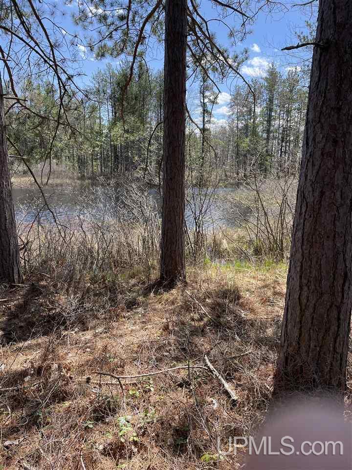 121 West Gordon Road Marquette, MI 49855 - Photo 11 of 14